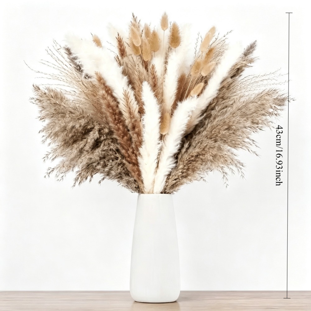 Dried Flowers Brown White Pamp - Pampas Grass Decor review and price