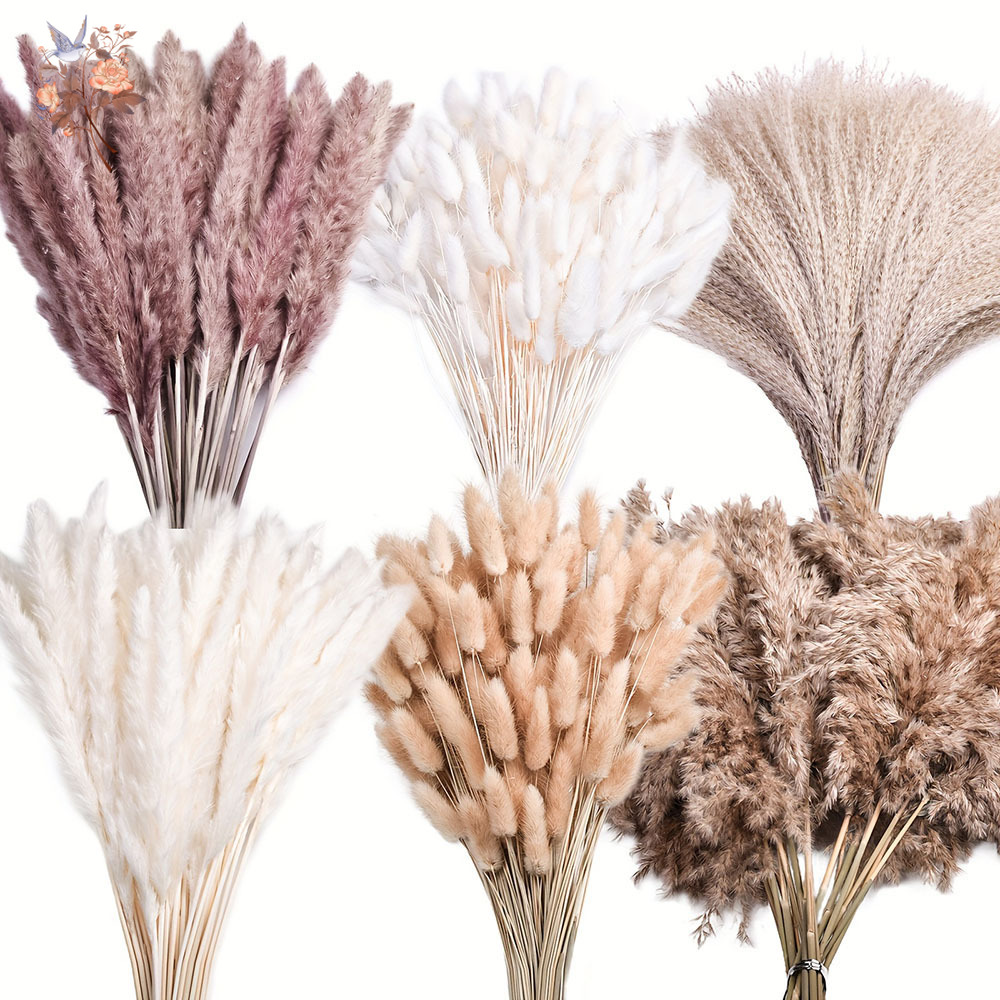 320PCS Mixed Fluffy Large Pamp - Pampas Grass Decor review and price
