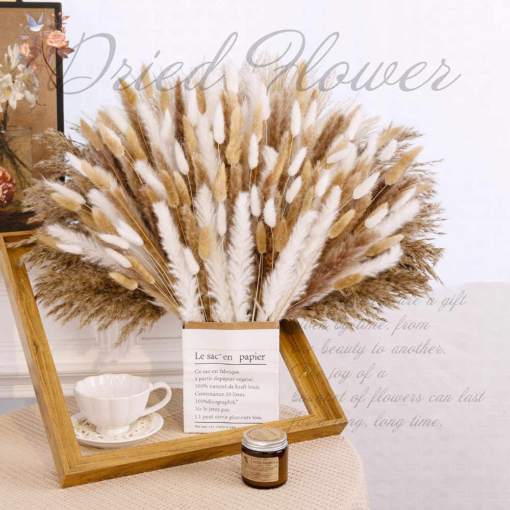 320PCS Mixed Fluffy Large Pamp - Pampas Grass Decor review and price